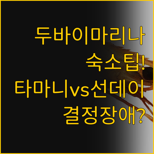 두바이 마리나 숙소 선택의 모든 것 ..