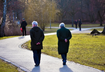 철분의 빈혈 예방과 피로 개선 효과