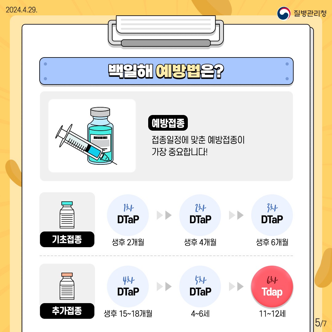 성인 백일해 예방접종 알아보기
