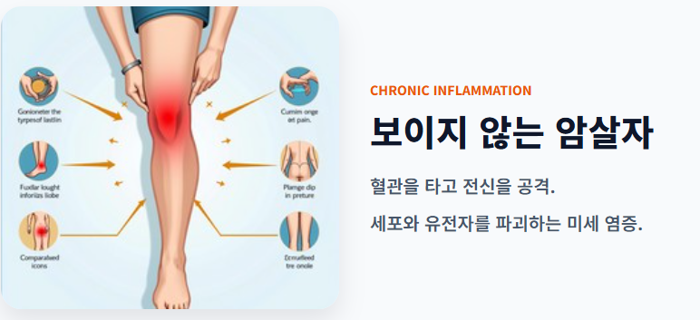 염증에 좋은 영양제