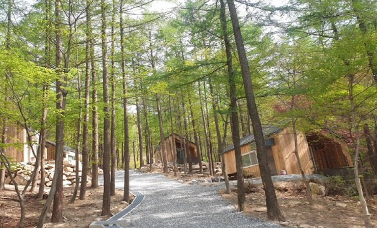 조령산 자연휴양림