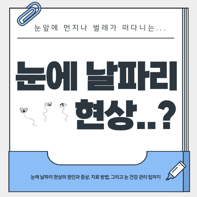 눈에 날파리 현상