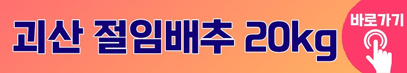 괴산 절임배추 20kg 가격