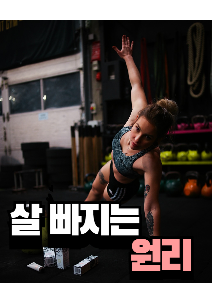 1.살이빠지는 원리