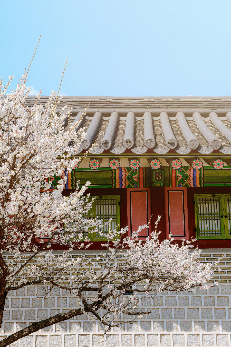 Planning a Trip to Korea? Here’s What NOT to Do