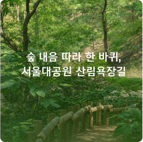 걷기 좋은 길 추천 : 서울대공원 산림욕장길 4개 코스별 특징