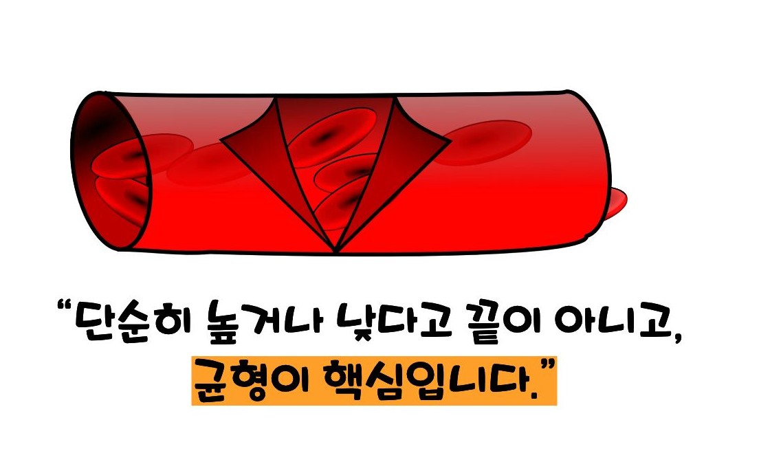 총 콜레스테롤 이란