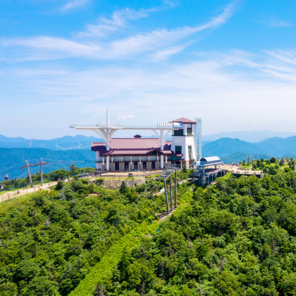평창 가볼만한곳