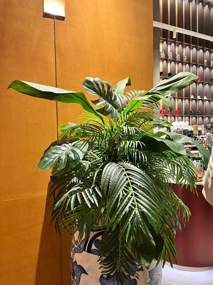 시원시원한 식물