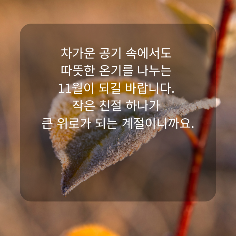 11월 인사말 문구 이미지 가을 겨울 인사글 모음집