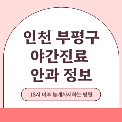 인천 부평구 야간진료 안과 병원 (18시 이후 늦게까지하는 병원)