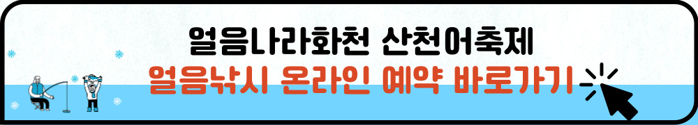 얼음나라화천 산천어축제