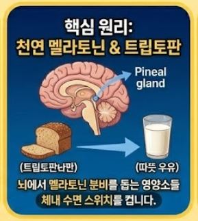 불면증을 타파하는 완벽한 꿀잠 저녁 식단표