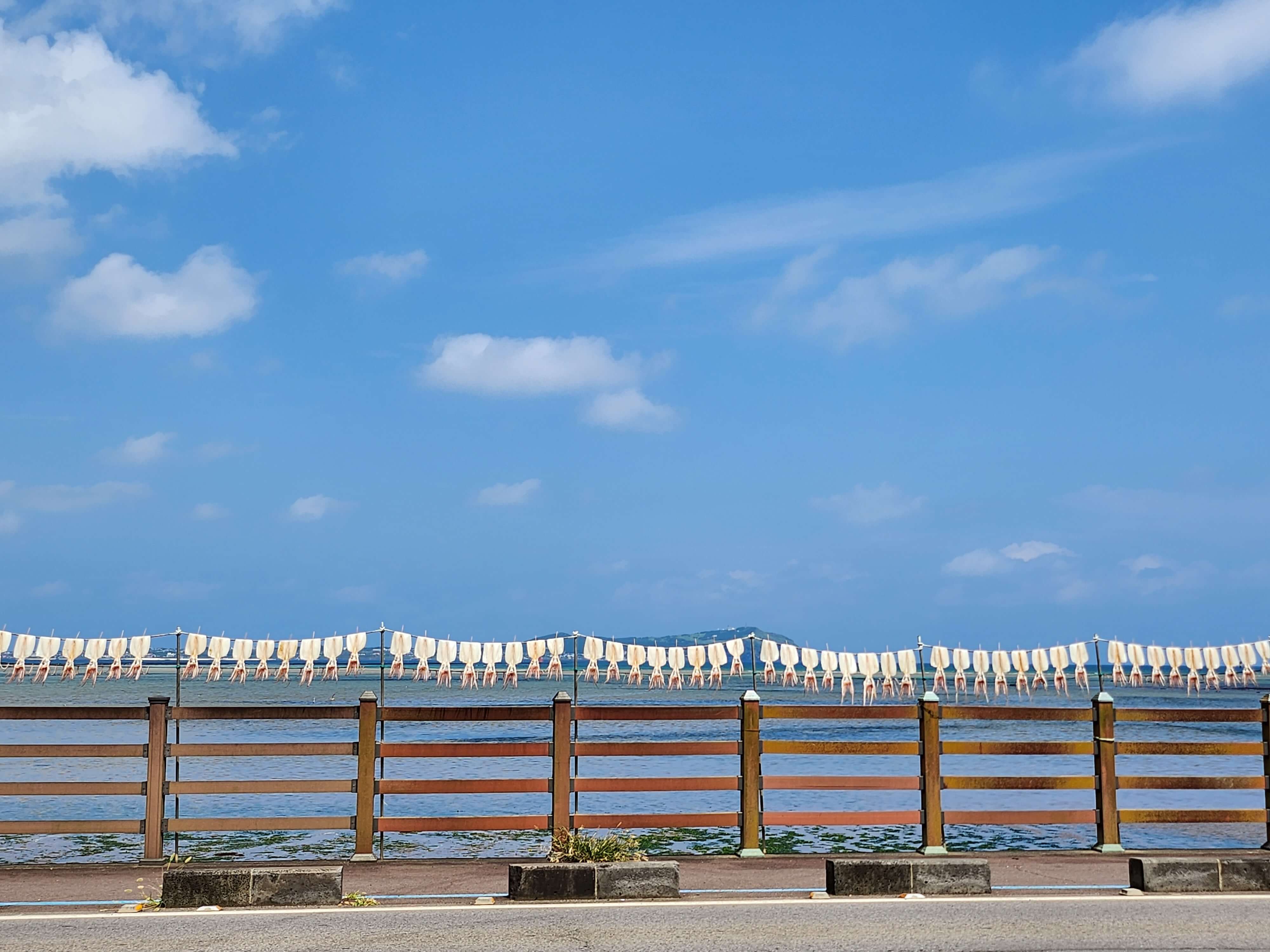 제주도 관광지도