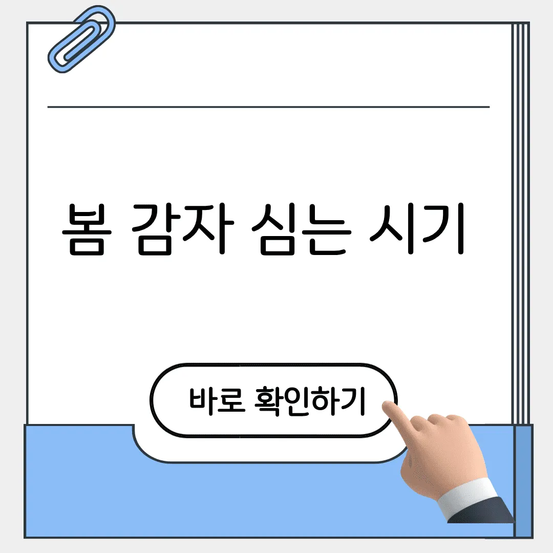 봄 감자 심는 시기