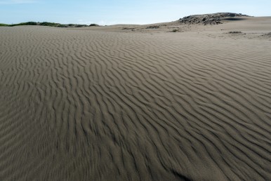 대만 자유여행 코스 추천 : 매력적인 타이난 해안 지역 자유여행