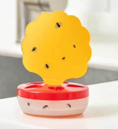 초파리 날파리 제거방법 다이소 리스테린 초파리싹