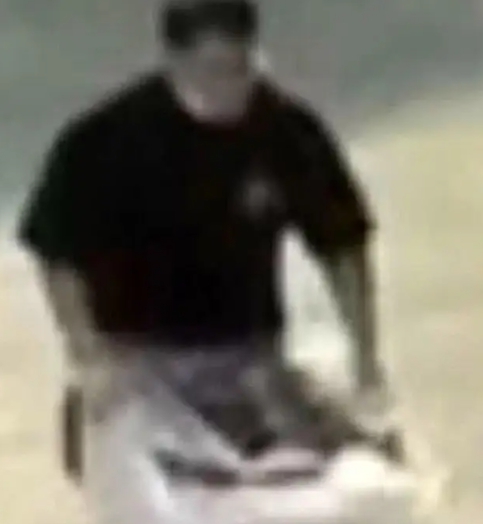 홍콩 유명 모델 애비 최 사망 냉장고 시신 발견 토막 살인 전남편 범인 CCTV