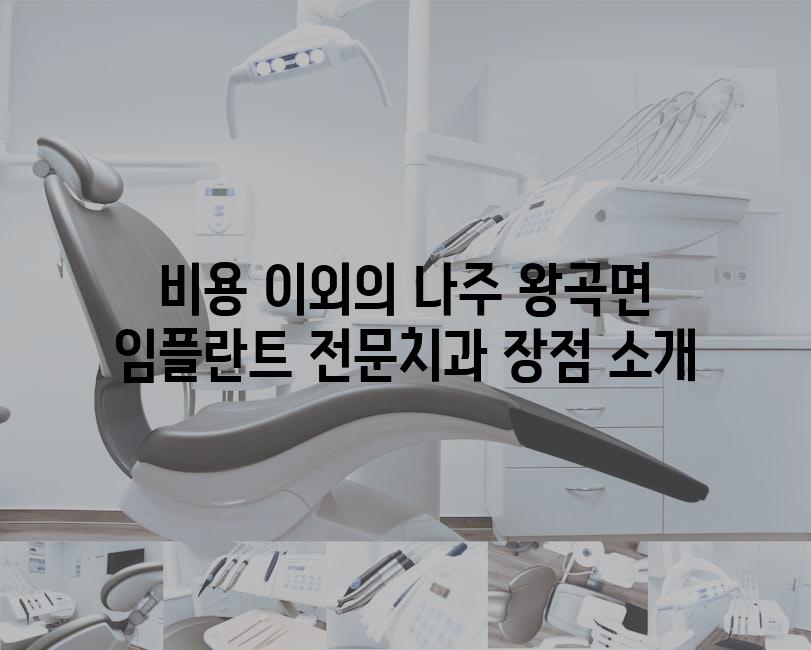 비용 이외의 나주 왕곡면 임플란트 전문치과 장점 소개
