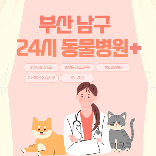 부산 남구 24시 동물병원