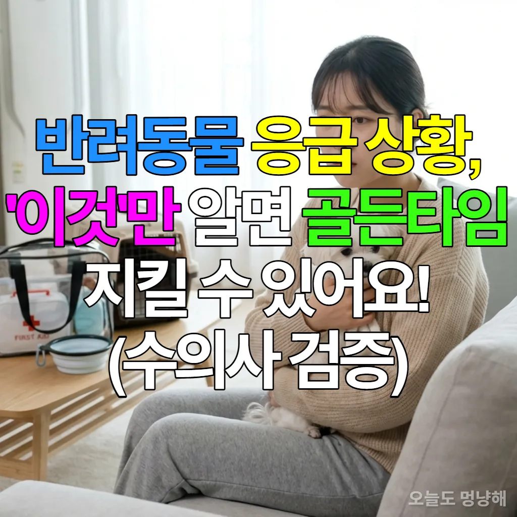 반려동물 응급 상황에 대비하여 구급키트를 준비하고 있는 한국인 여성과 그녀의 반려견