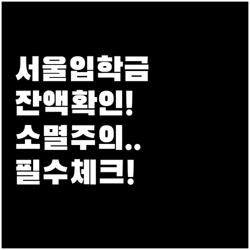 서울시 입학준비금 소멸 시점과 잔액 ..
