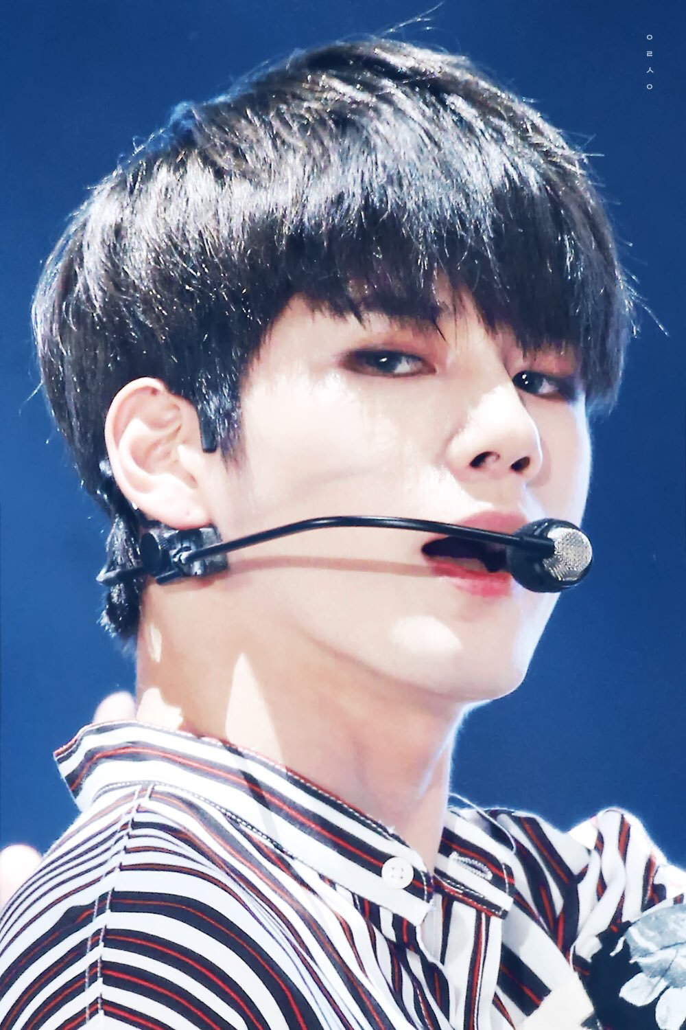 워너원 고화질 사진