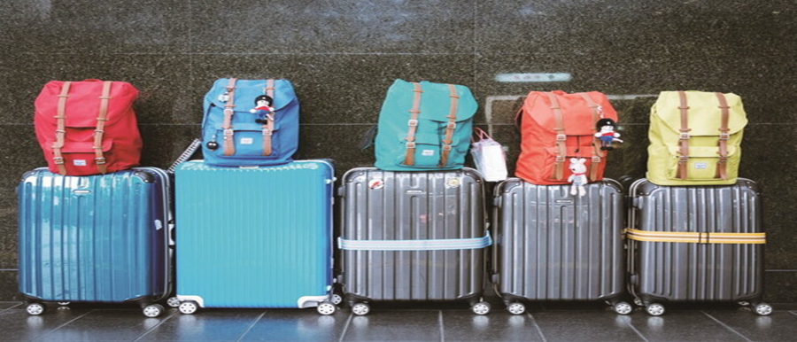 수하물 사진