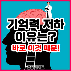 기억력 저하 이유 원인