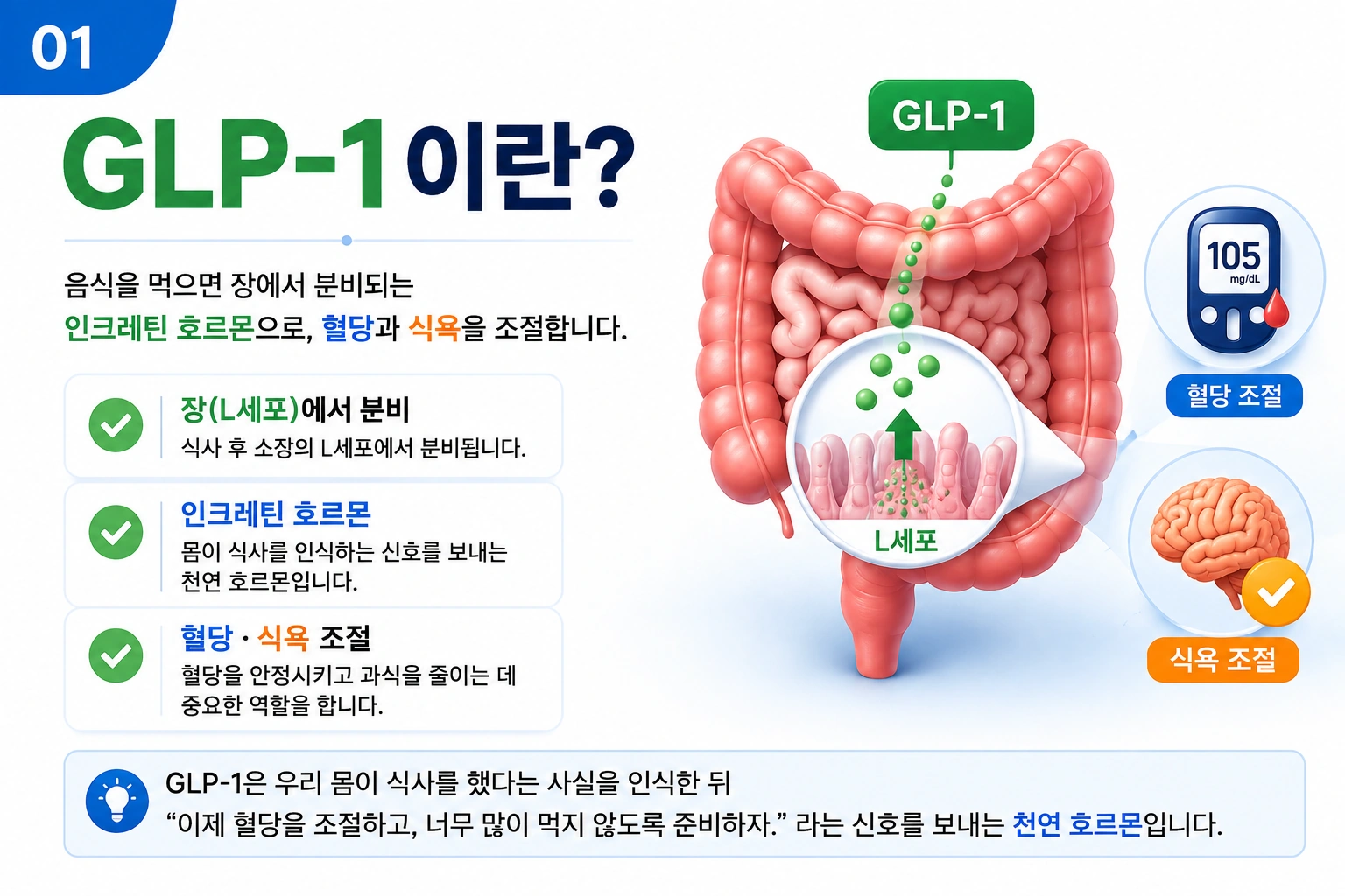 GLP-1이란