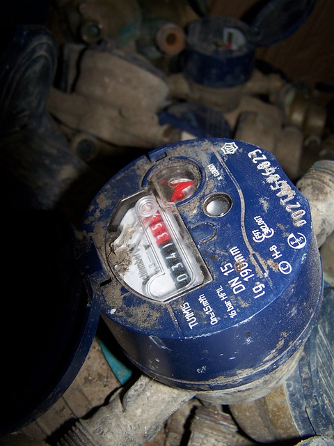 이사할 때 반드시 체크해야 할 6가지 항목