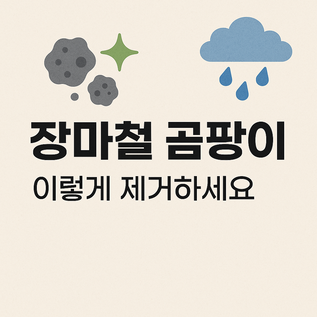 장마철 곰팡이 관련 사진