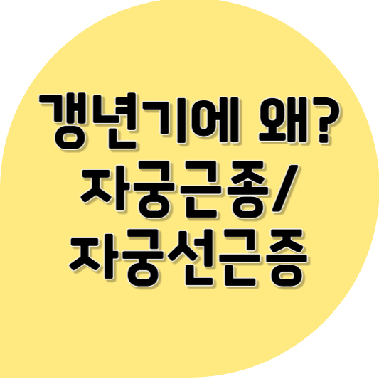 자궁에 혹이 생겼다고요? 갱년기 여성에게 흔한 자궁근종·자궁선근증의 이유