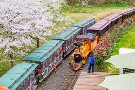  국내 가을 여행 - 에코랜드