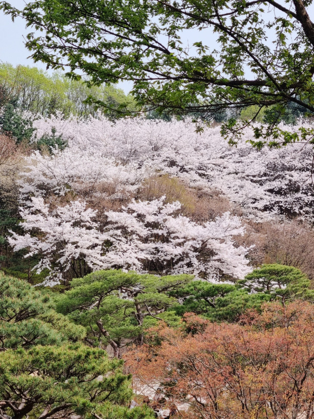 화담숲