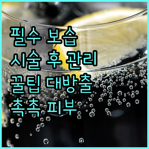 리프팅 시술 후 필수 보습 성분과 관