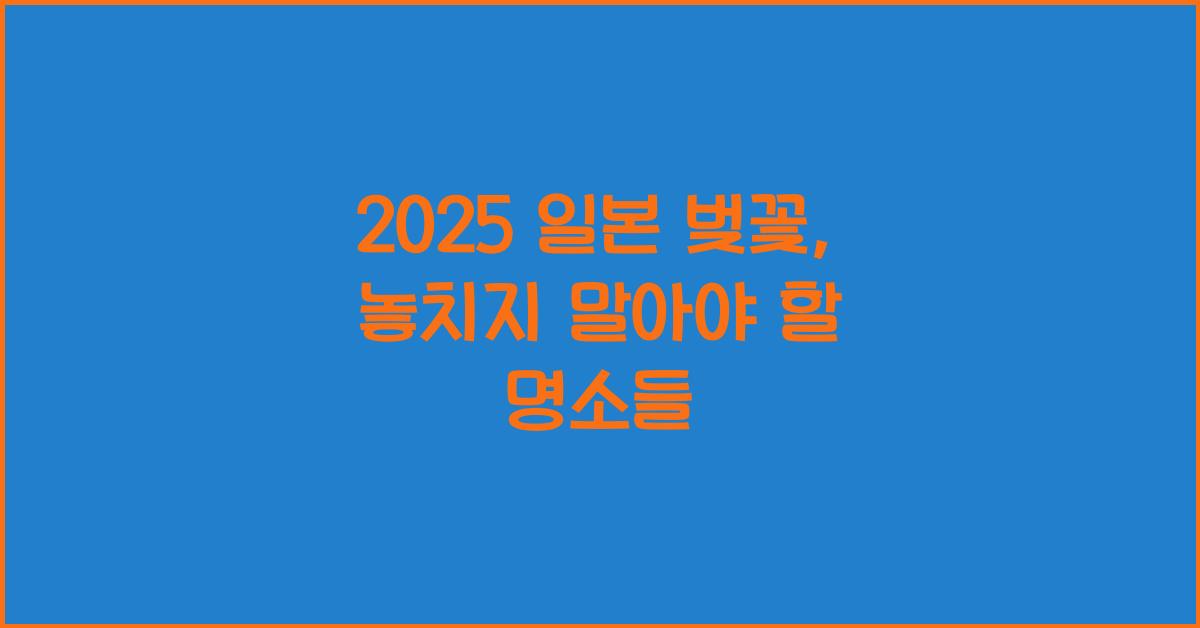 2025 일본 벚꽃