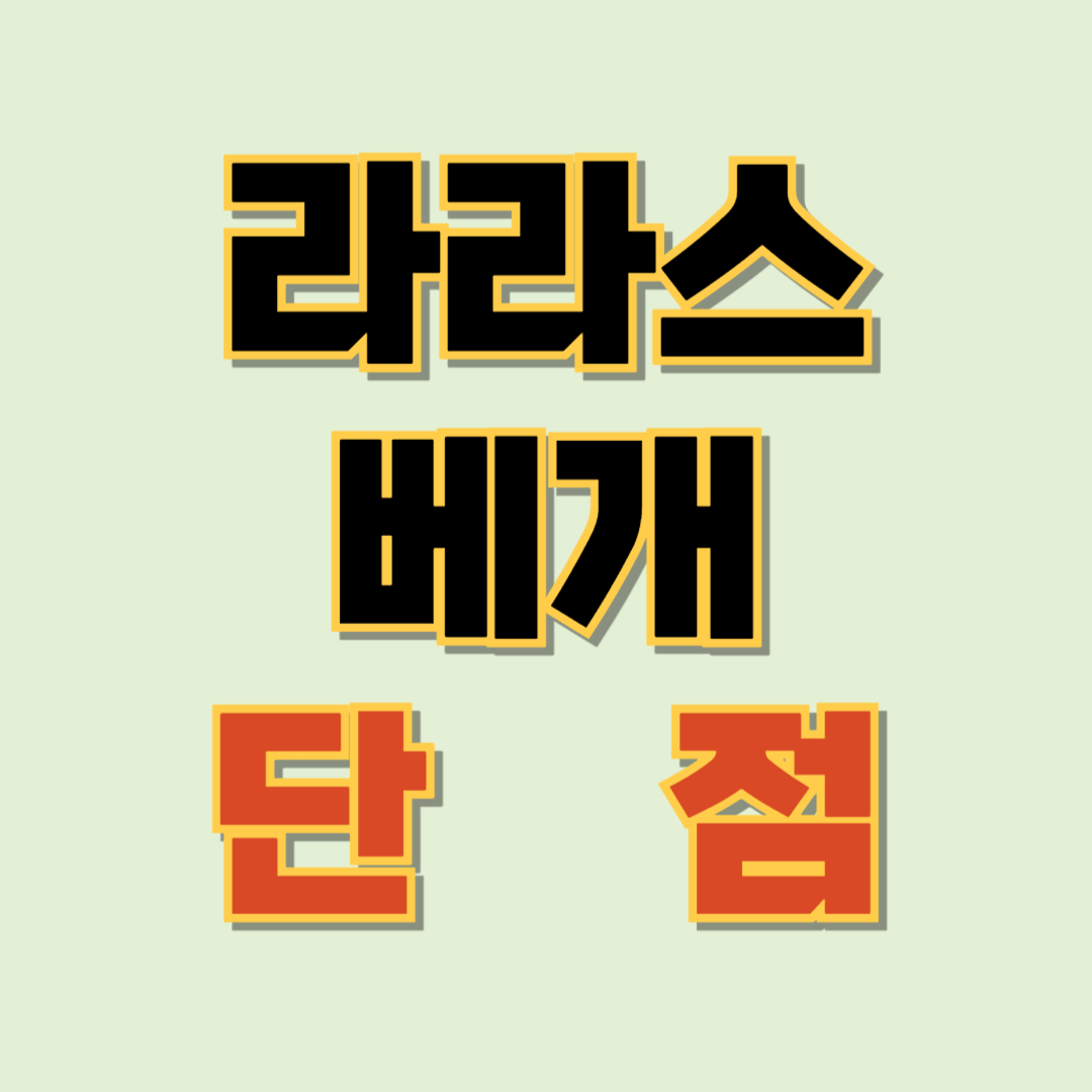 신생아 두상 베개 라 라스 베개 단점