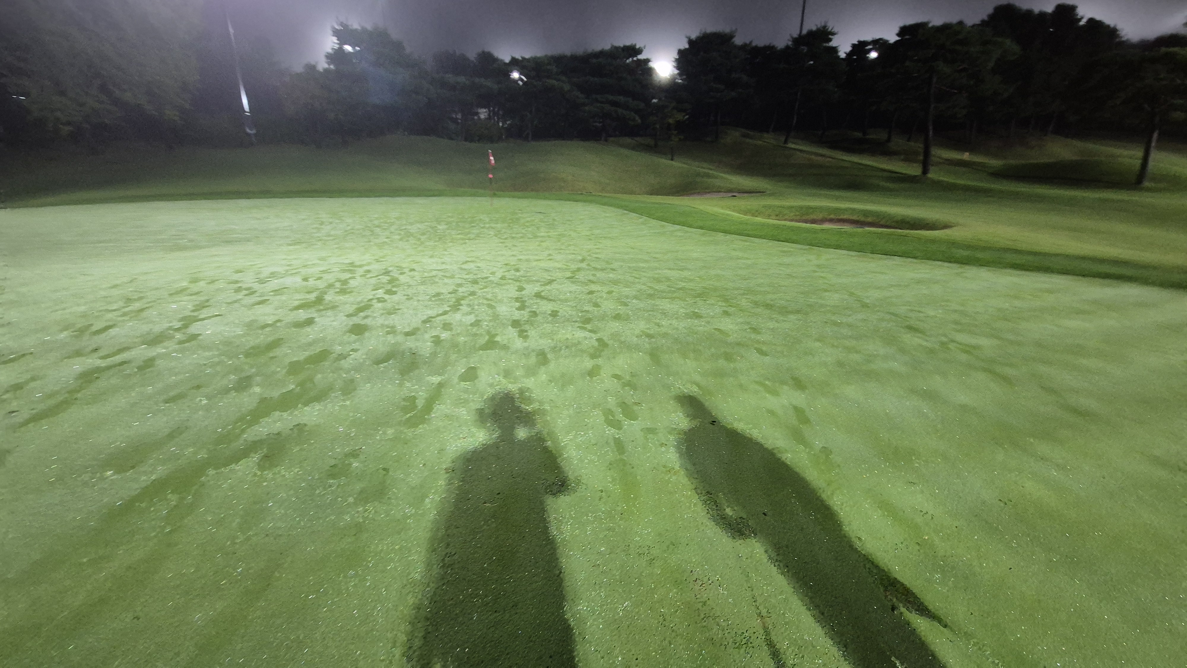 블루원용인cc 그린 관리 상태