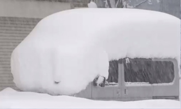 폭설 재난지원금 신청방법