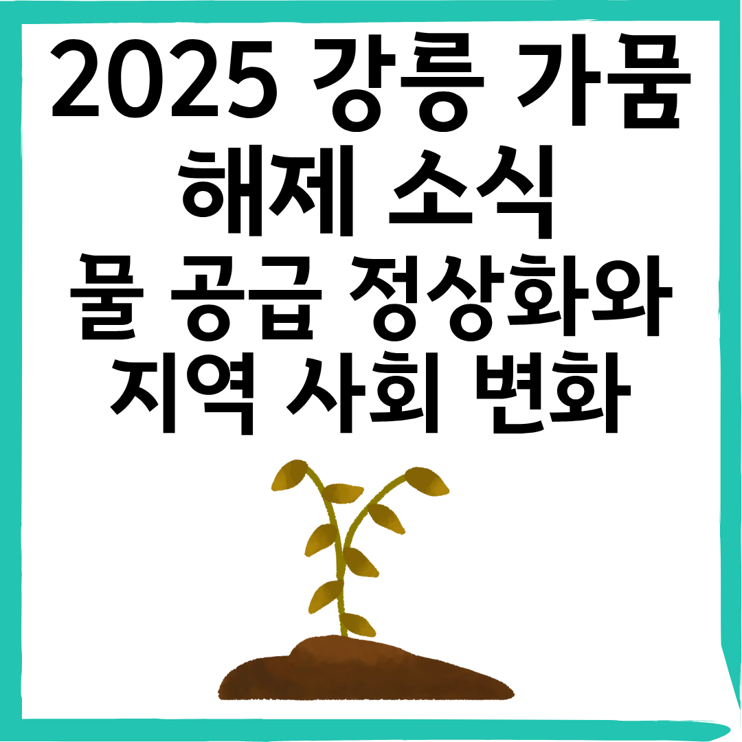 2025 강릉 가뭄 해제 소식｜물 공급 정상화와 지역 사회 변화