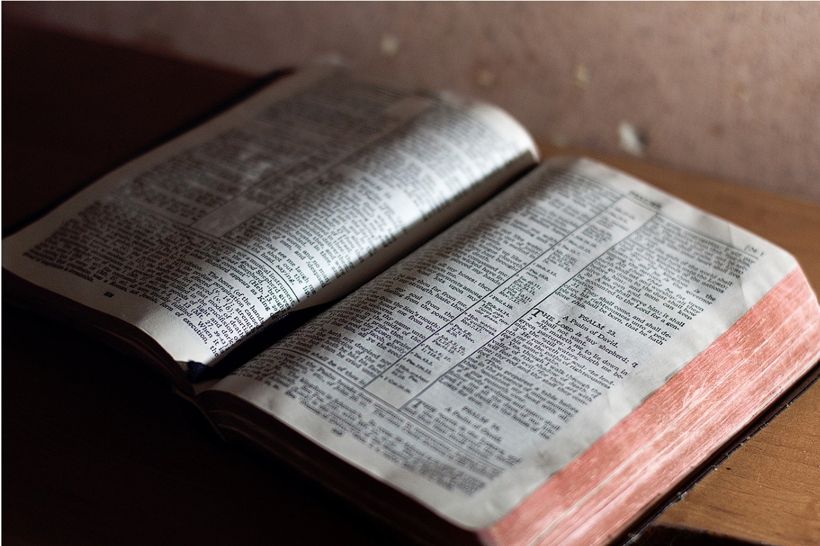 글을 쓰기 전에 이미 글은 절반쯤 완성돼 있는 이유