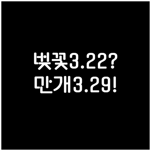 2026년 동래구 벚꽃 개화 3월 2..