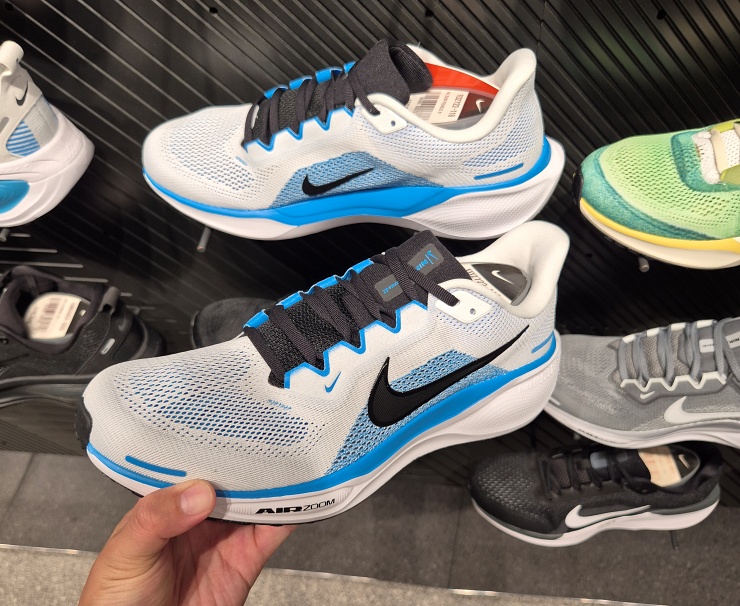 페가수스 41 데일리화 활용