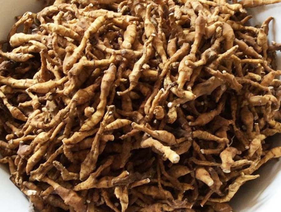 야생에서 채취를 한 구절창포의 뿌리 부분을 깨끗하게 세척을 한 후에 그릇에 가득 담아두고 찍은 사진