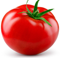 토마토