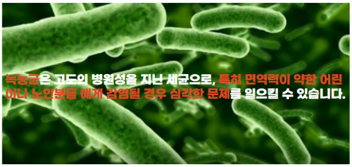 녹농균-감염의-위험