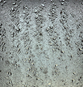 가열식 가습기 – 장단점과 주의사항