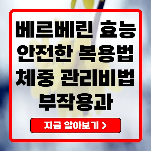 베르베린의 효능과 안전한 복용 방법 총정리