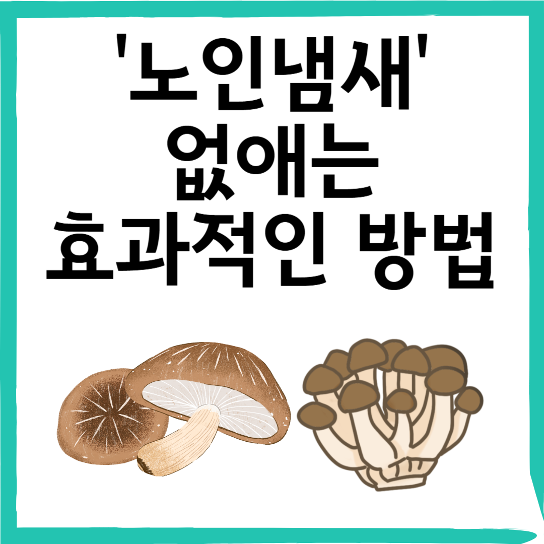 나이 들수록 생기는 '노인 냄새'… 버섯으로 줄일 수 있다고?